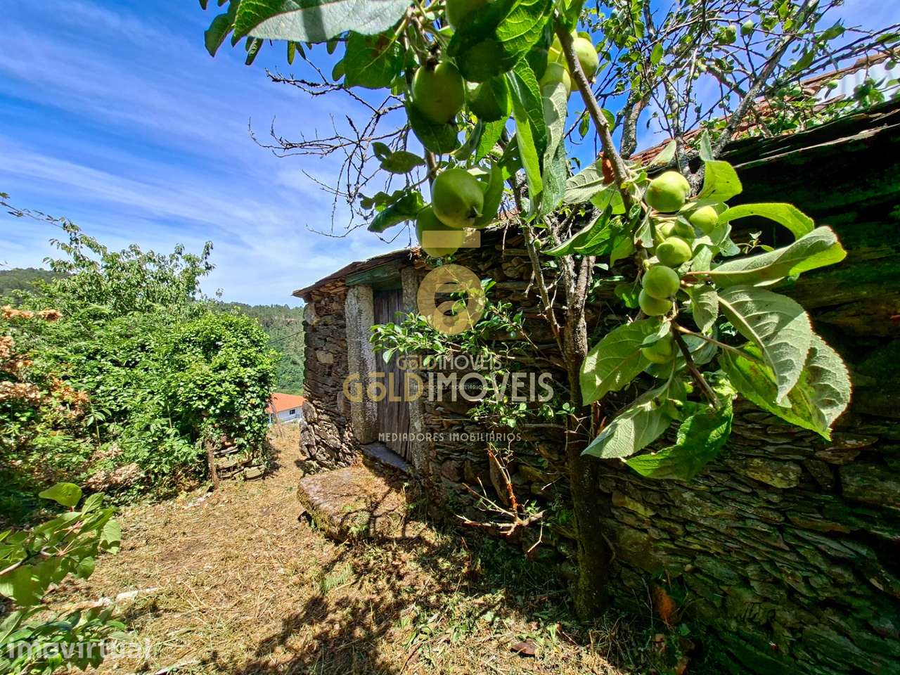 Moradia Devoluta T2 Venda em Real,Castelo de Paiva - Grande imagem: 4/20