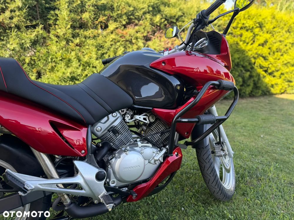 Honda Varadero - 8