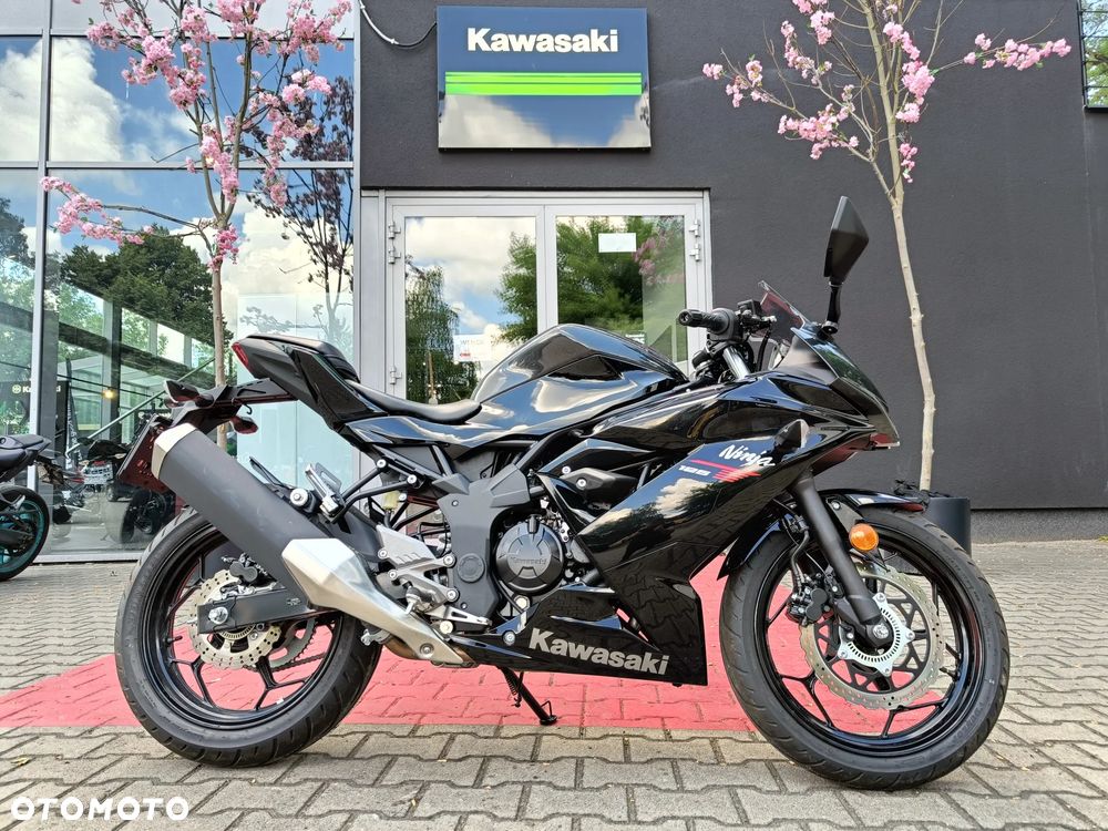 Kawasaki Ninja - 2