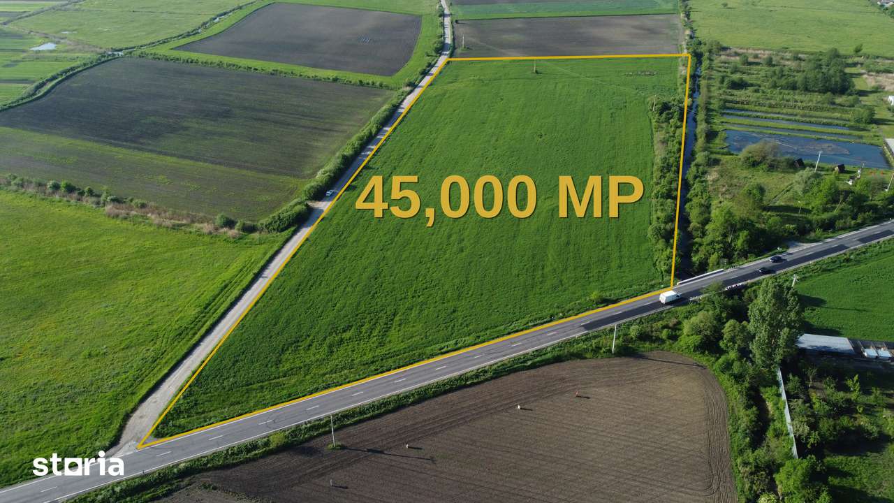 TEREN 45.000 MP | PUZ APROBAT | 156 M FRONT DN11 | PREJMER - BRASOV - Imagine principală: 2/8