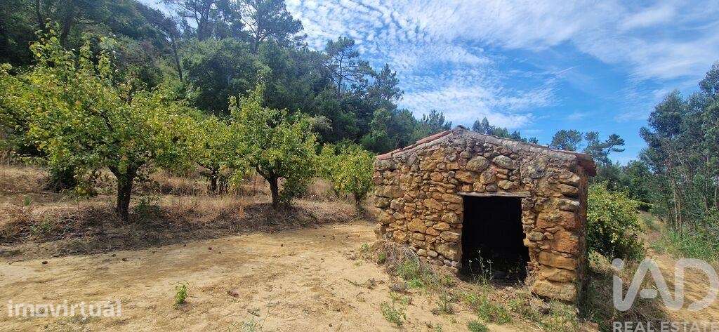 Terreno em Azueira e Sobral da Abelheira - Grande imagem: 3/19