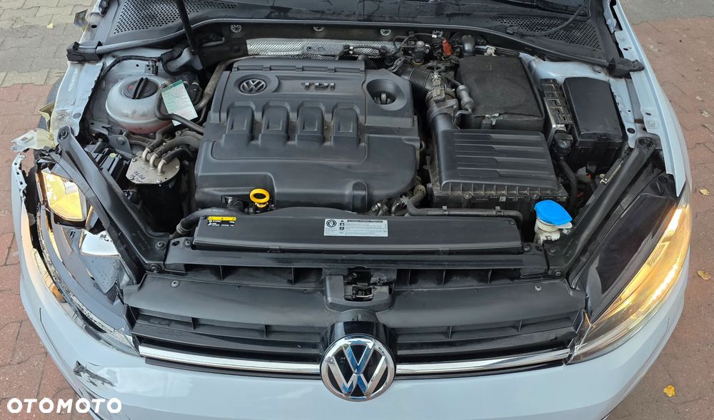 Volkswagen Golf 1.6 TDI (BlueMotion Technology) Trendline - 18