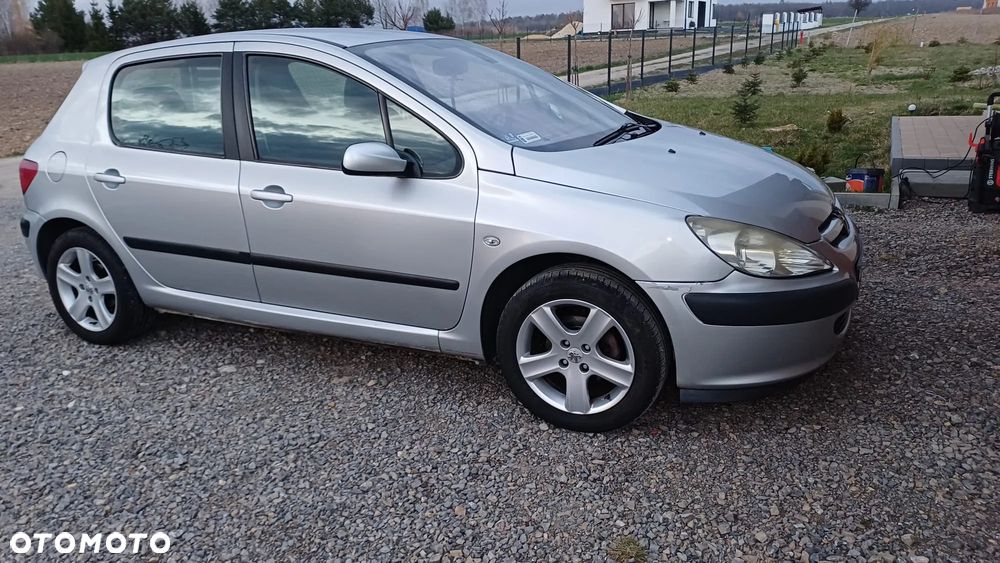 Peugeot 307 110 Grand Filou - 1