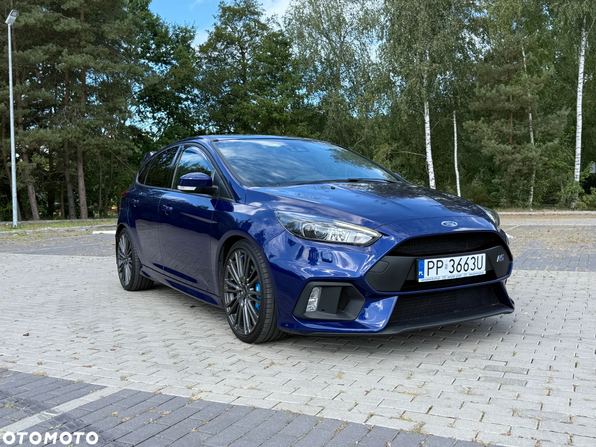 Ford Focus 2.3 EcoBoost S&S Allrad RS - 26