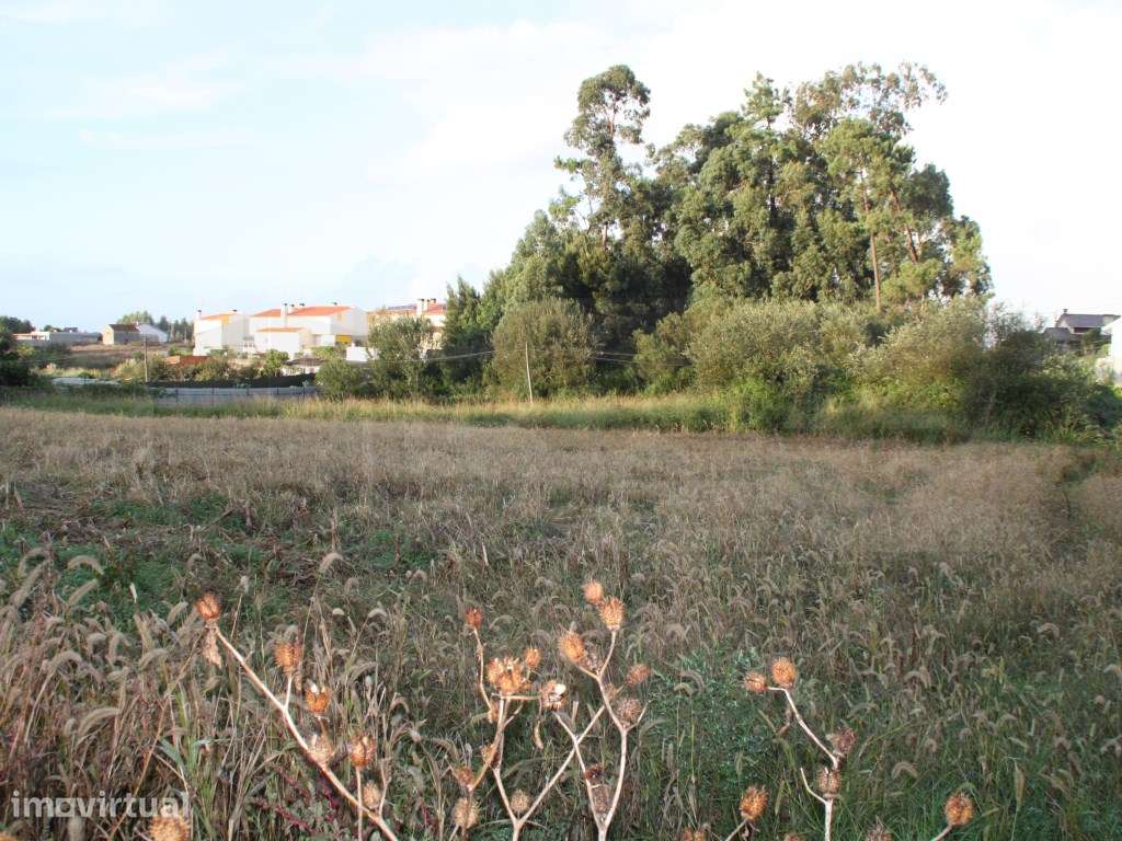 Espaçoso terreno com 2 frentes para construção de moradias - Aveiro - Grande imagem: 5/5