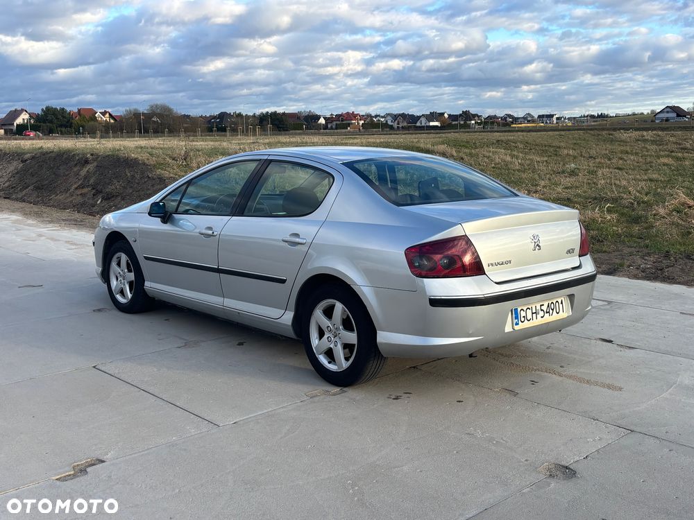 Peugeot 407 - 5