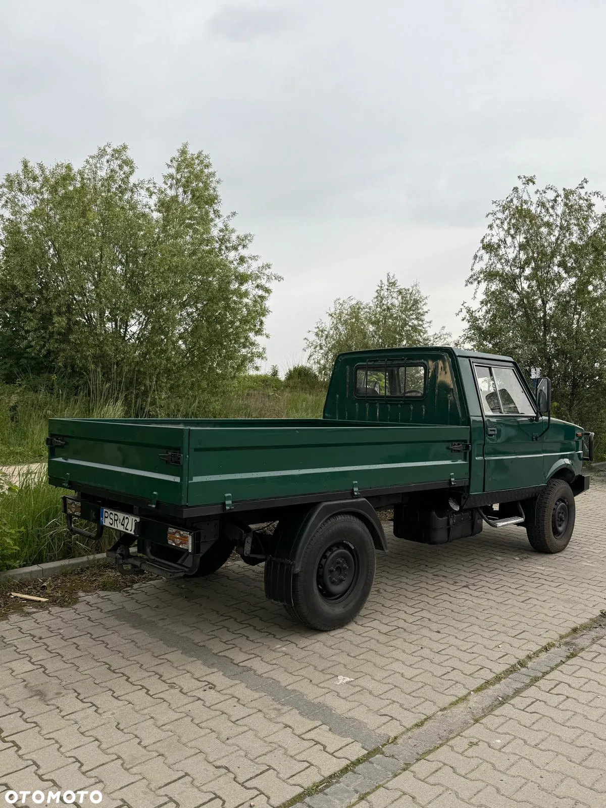 Tarpan Inny - 2