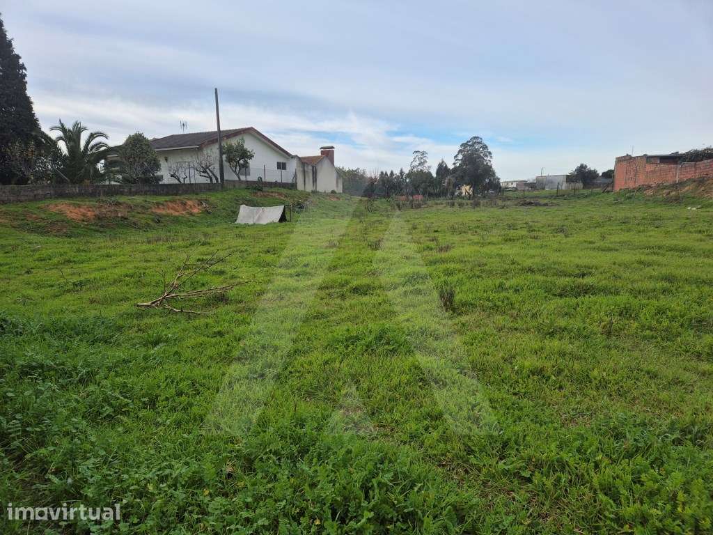 Terreno para construção de moradia em Angeja - Grande imagem: 3/9