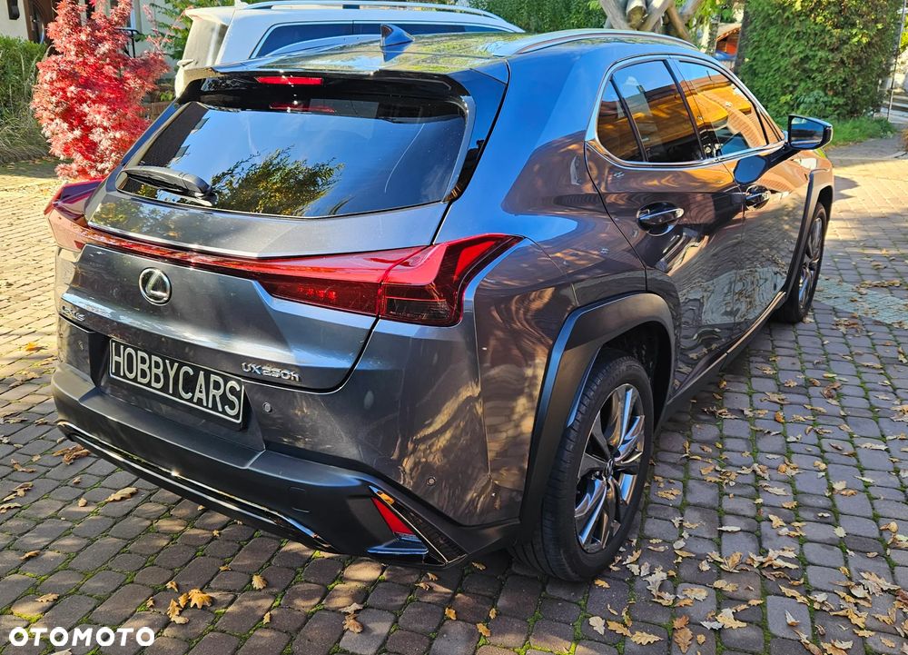Lexus UX 250h GPF F Sport Design 2WD - 10