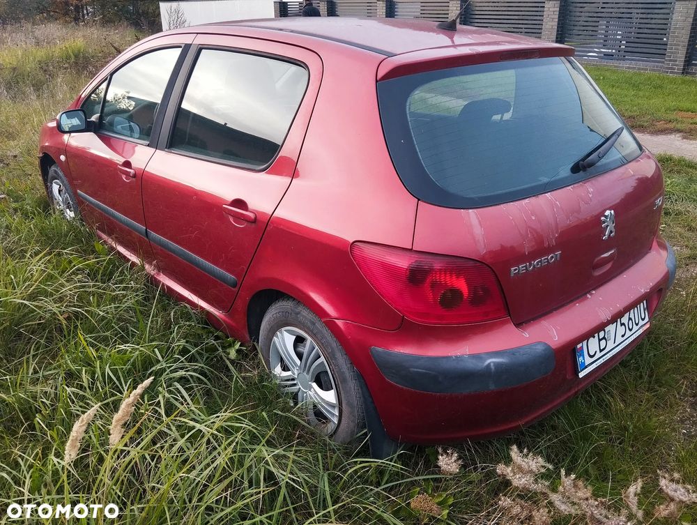 Peugeot 307 1.4 Mistral - 6