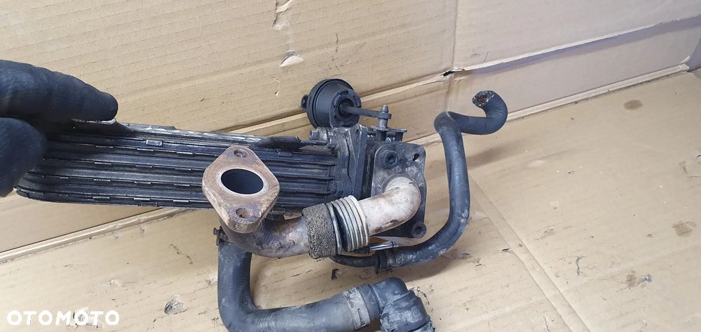 Chłodniczka spalin zawór EGR VW Passat B6 1.9 TDI 038131513AD 038131063E - 7