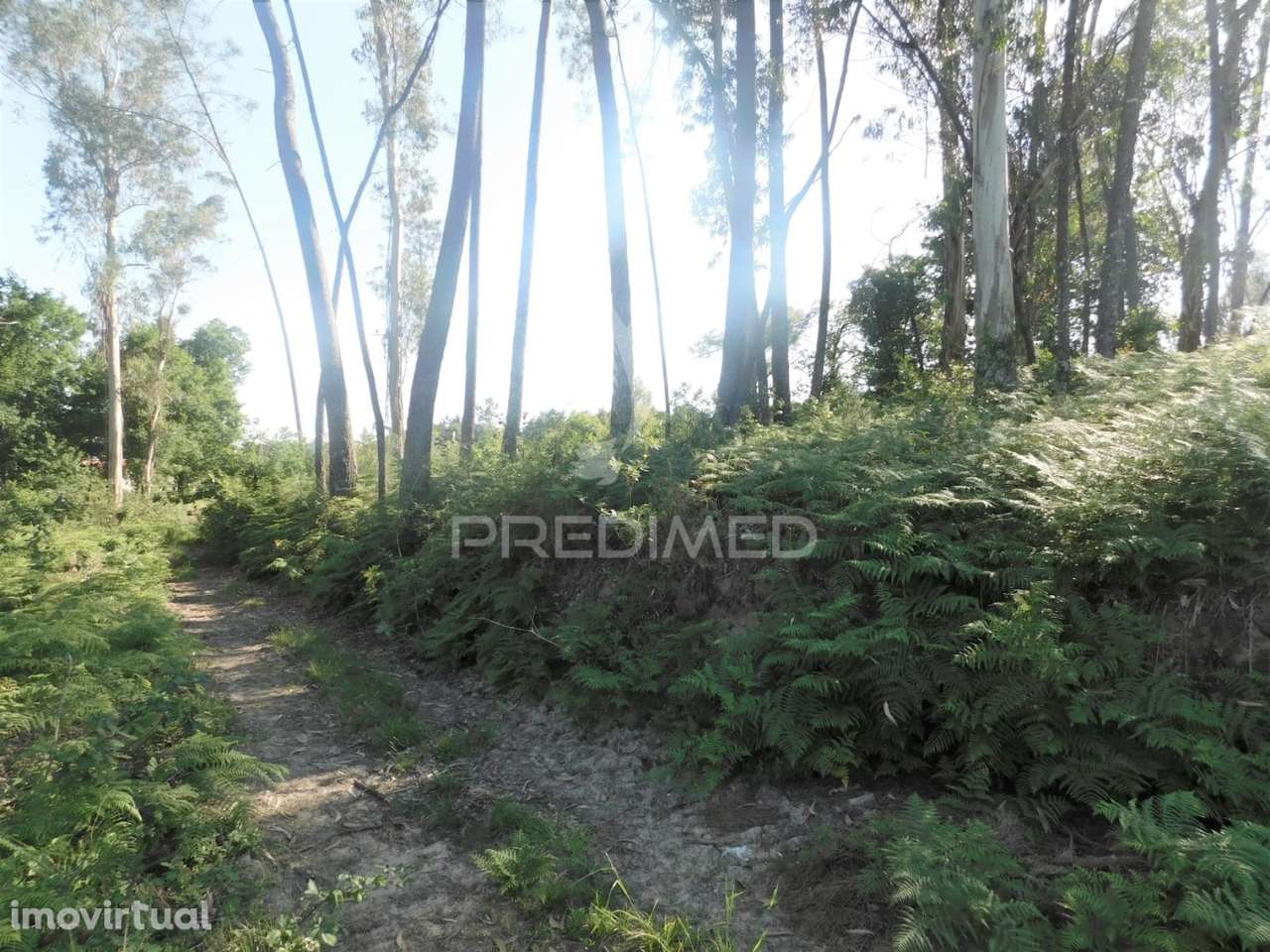 Terreno em Gême, Vila Verde - Braga - Grande imagem: 5/9