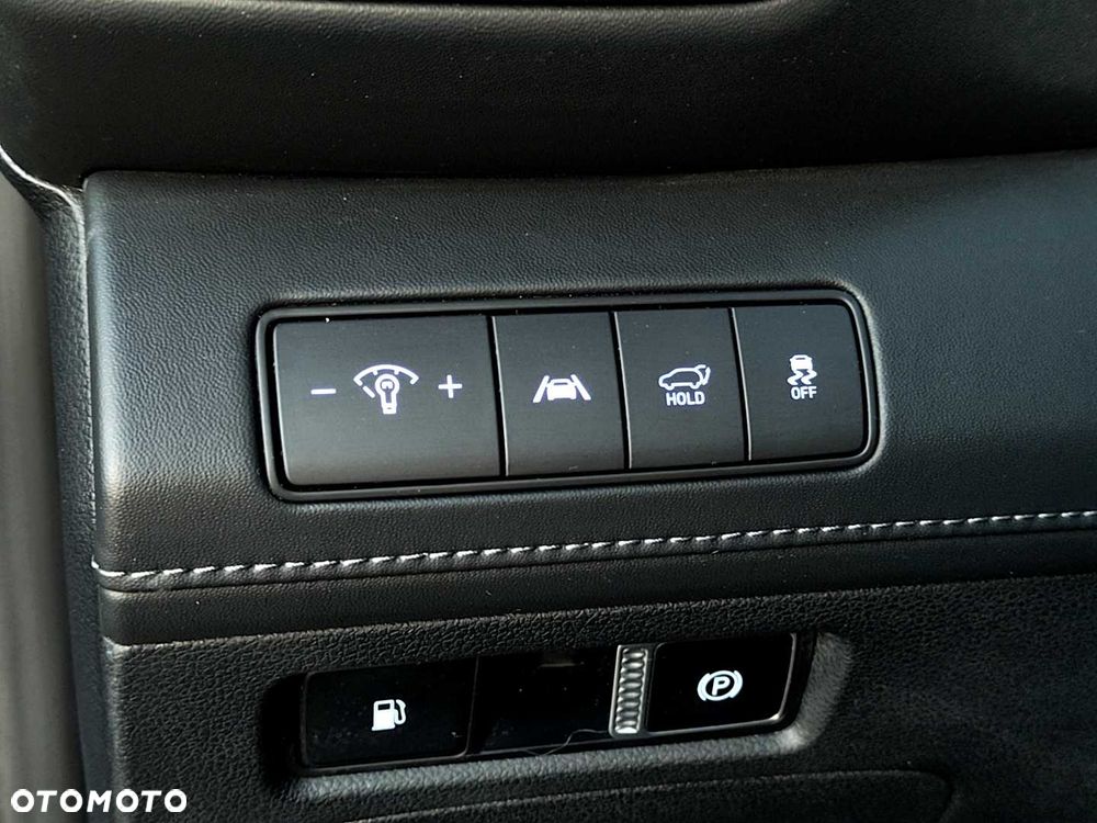 Hyundai Santa Fe - 23