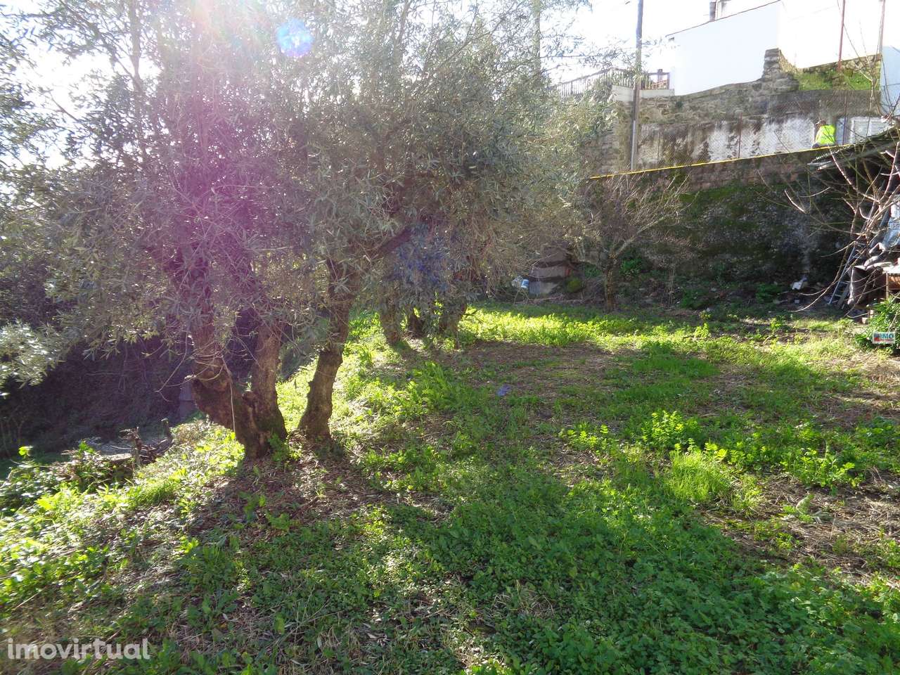 Terreno - Teixoso - 7 min da Covilhã - Grande imagem: 4/13