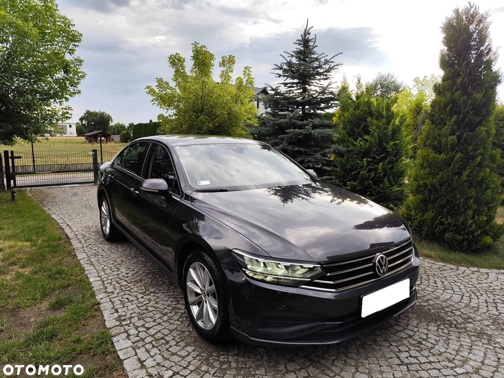 Volkswagen Passat - 5