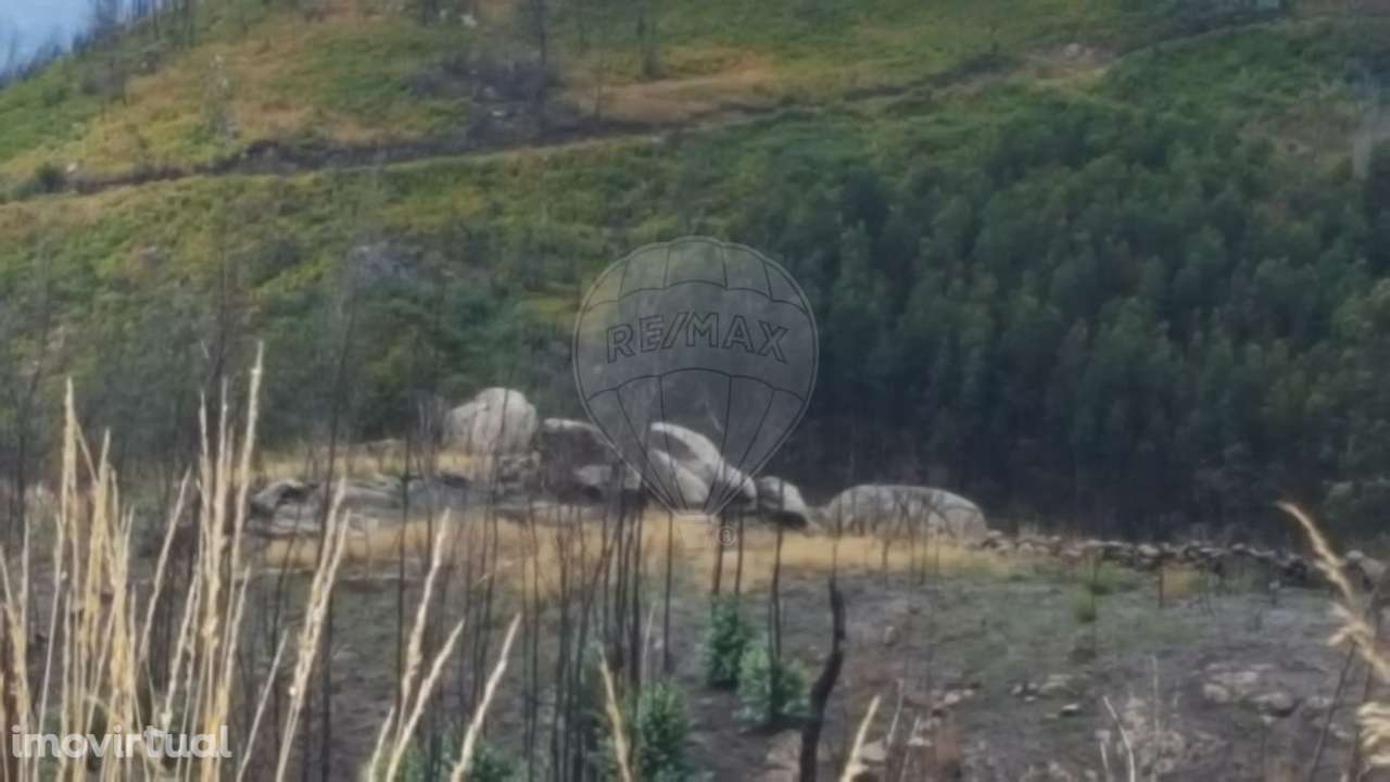 Terreno  para venda - Grande imagem: 4/11