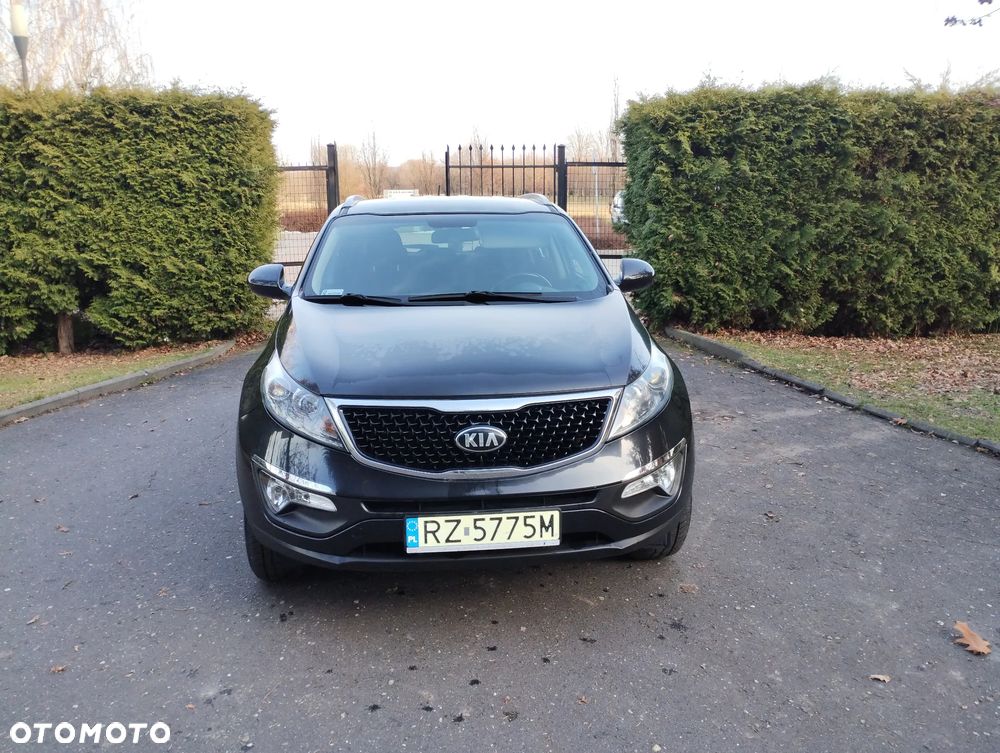 Kia Sportage 1.6 GDI Business Line M 2WD - 2