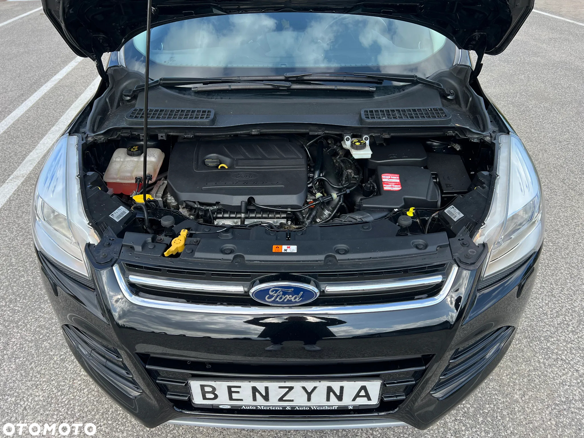 Ford Kuga 1.5 EcoBoost FWD Titanium ASS - 6