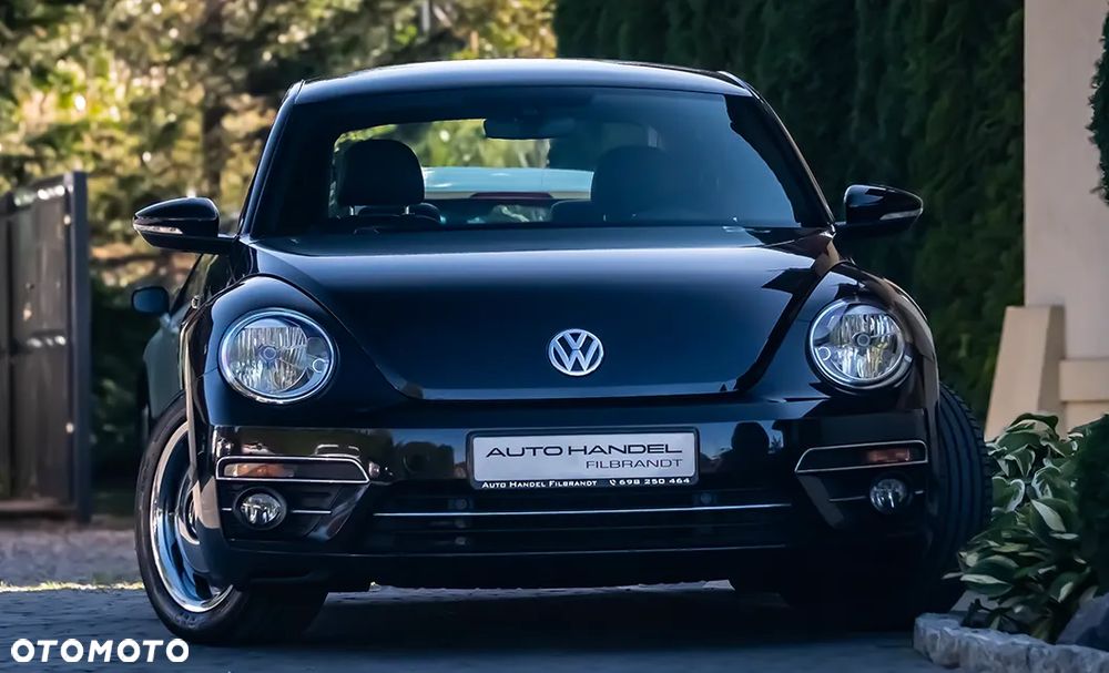 Volkswagen Beetle - 13