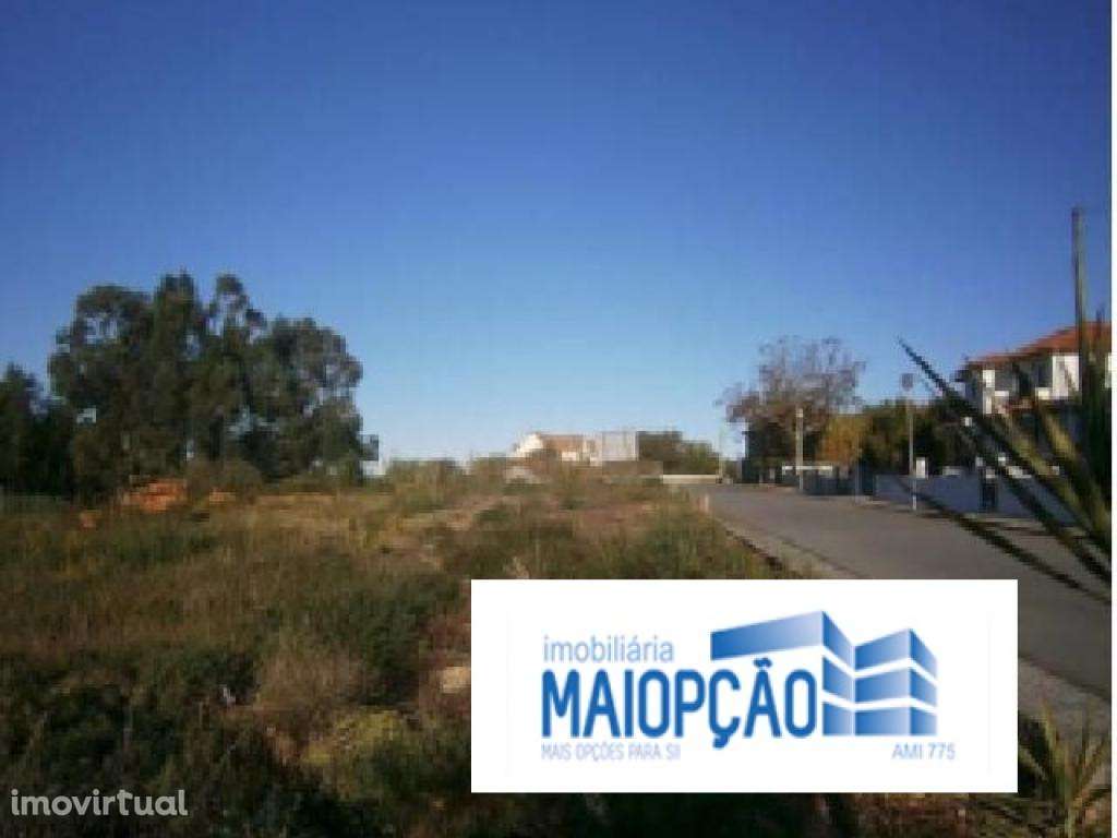 Terreno Urbano - Grande imagem: 2/2