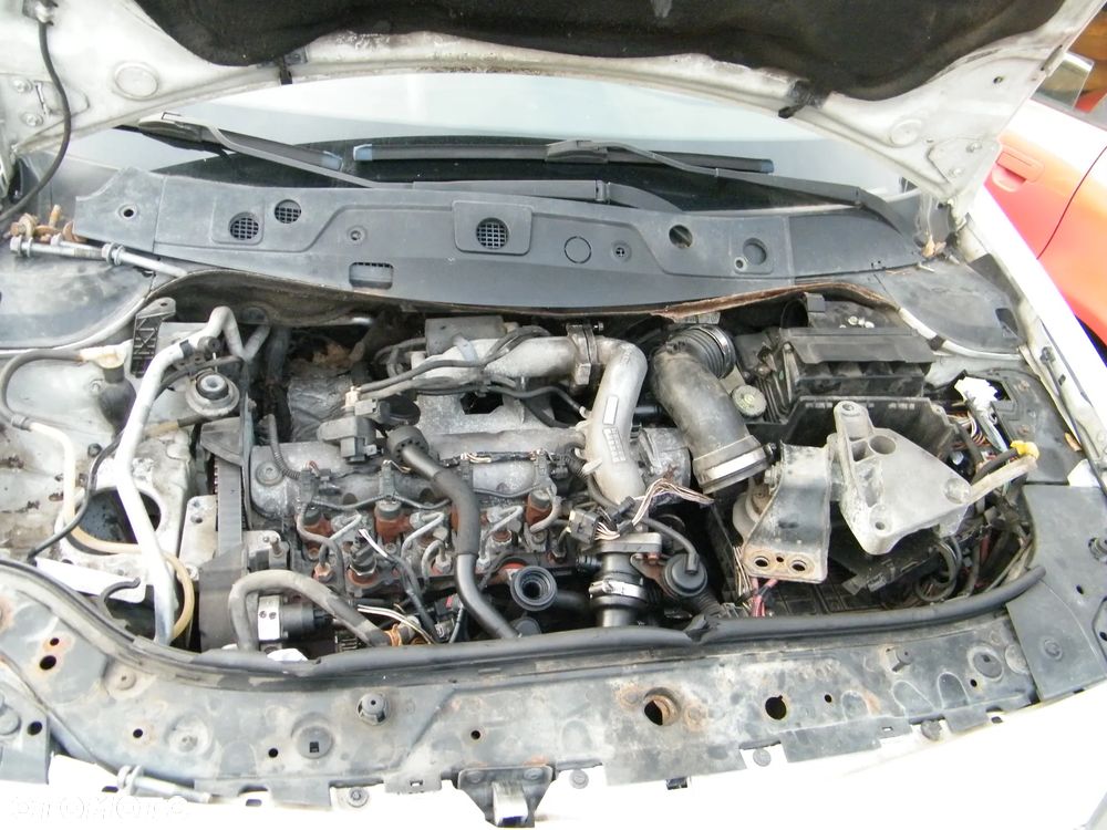 Renault Megane II (02-05r.) 1.9D 115KM. Silnik F9Q 800 Skrzynia ND0 001 lakier OV369 – ICE WHITE BC. Cały na części GWARANCJA !!!  Przód Tył Zestaw Komplet Drzwi Klapa Zderzak Błotnik Maska Grill Atrapa Szyba Pas Lampa Lusterko Boczki Fotel Kanapa Kokpit Deska Rozdzielcza Przełącznik Włącznik Sterownik Przewody Wiązka Instalacja Moduł Komputer Czujnik Listwa Pompa Alternator Wtryski Głowica Rozrusznik Kompresor Sprzęgło Dwumas Silnik Skrzynia ABS Klimatyzacji Paliwa Wspomagania Kolektor Turbina Przepustnica Zawór Chłodnica Koło Hak Belka Sanki Zawieszenie Mcpherson Półoś Amortyzator Wydech Tłumik Zacisk Most - 3
