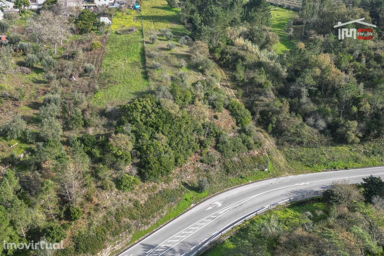 Terreno Rústico junto da estrada N113, Sobral, Santa Catarina da Serra - Grande imagem: 3/7
