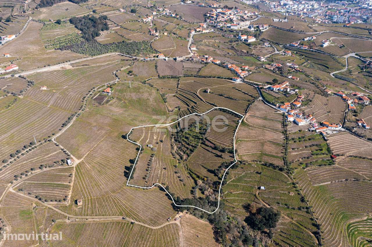 Quinta na Régua para produção vinícola - Grande imagem: 4/20