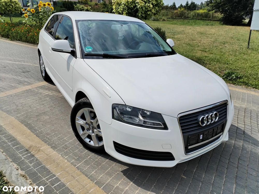 Audi A3 3-drzwiowe 1.6 Ambiente - 2