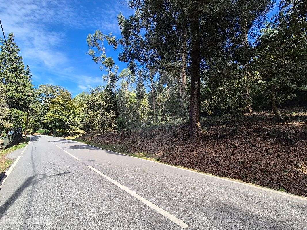 Terreno  para venda - Grande imagem: 4/6