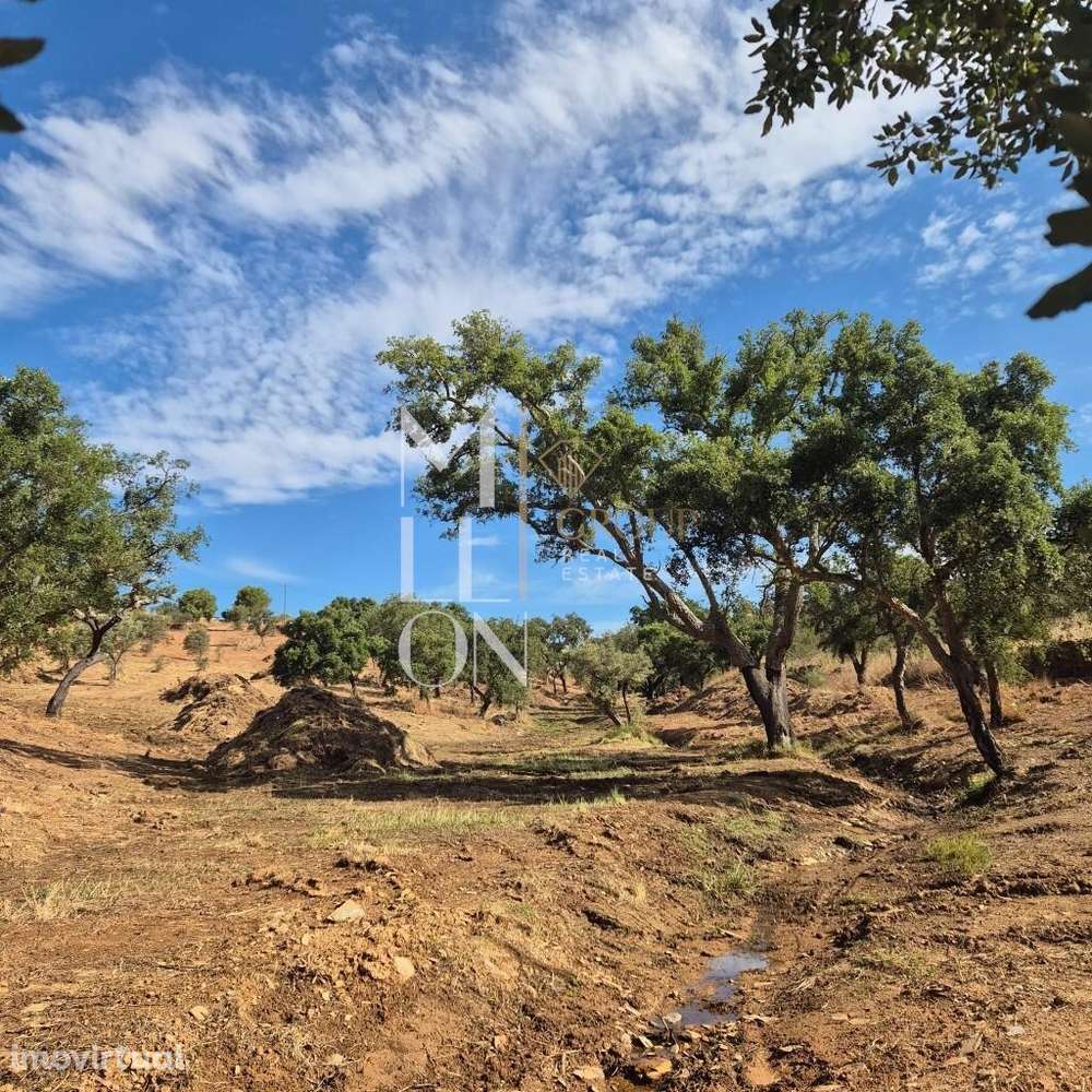 Quintinha para recuperar com uma área de 2,7 hectares com casa em ruin - Grande imagem: 5/16