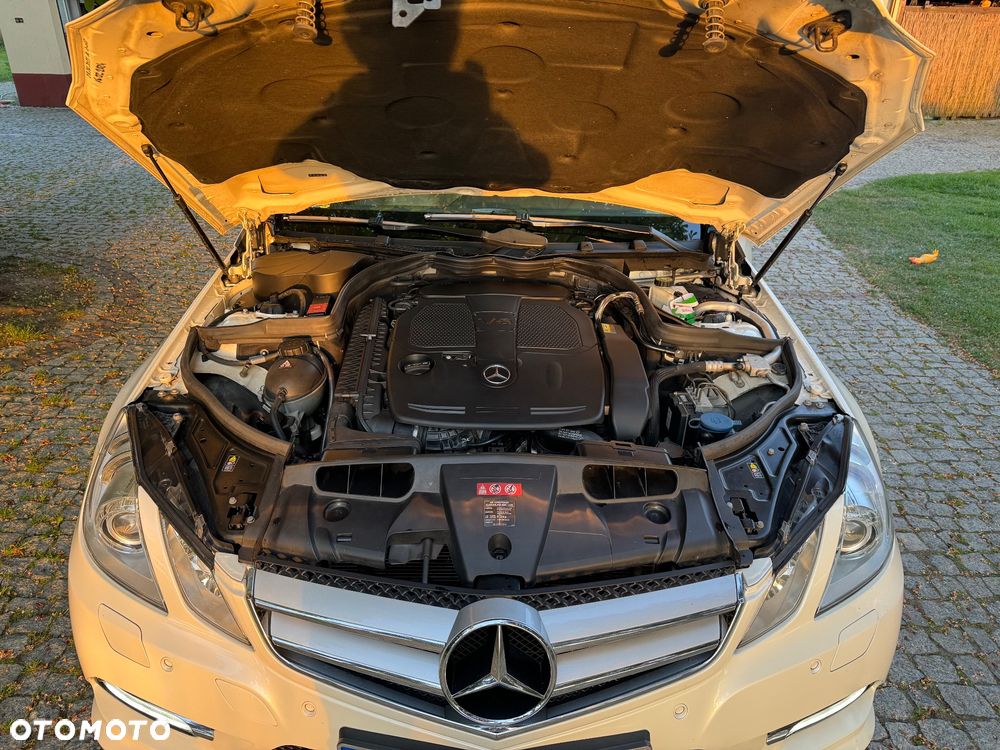 Mercedes-Benz Klasa E 350 BlueEffICIENCY - 17