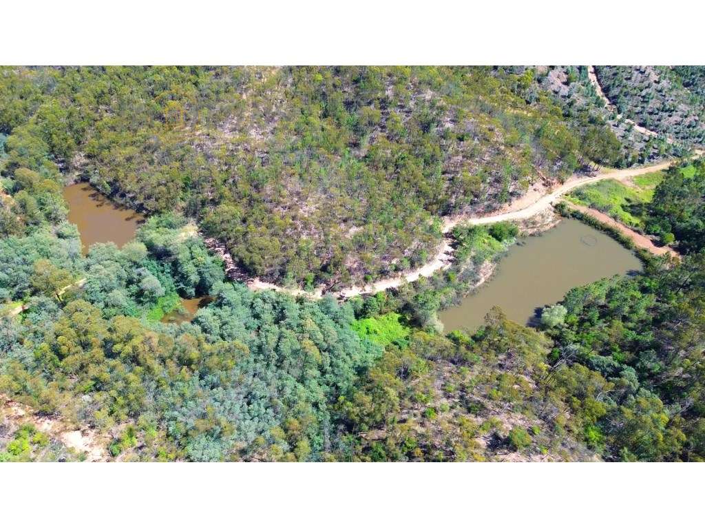 Terreno Rústico em Marmelete - Grande imagem: 2/14