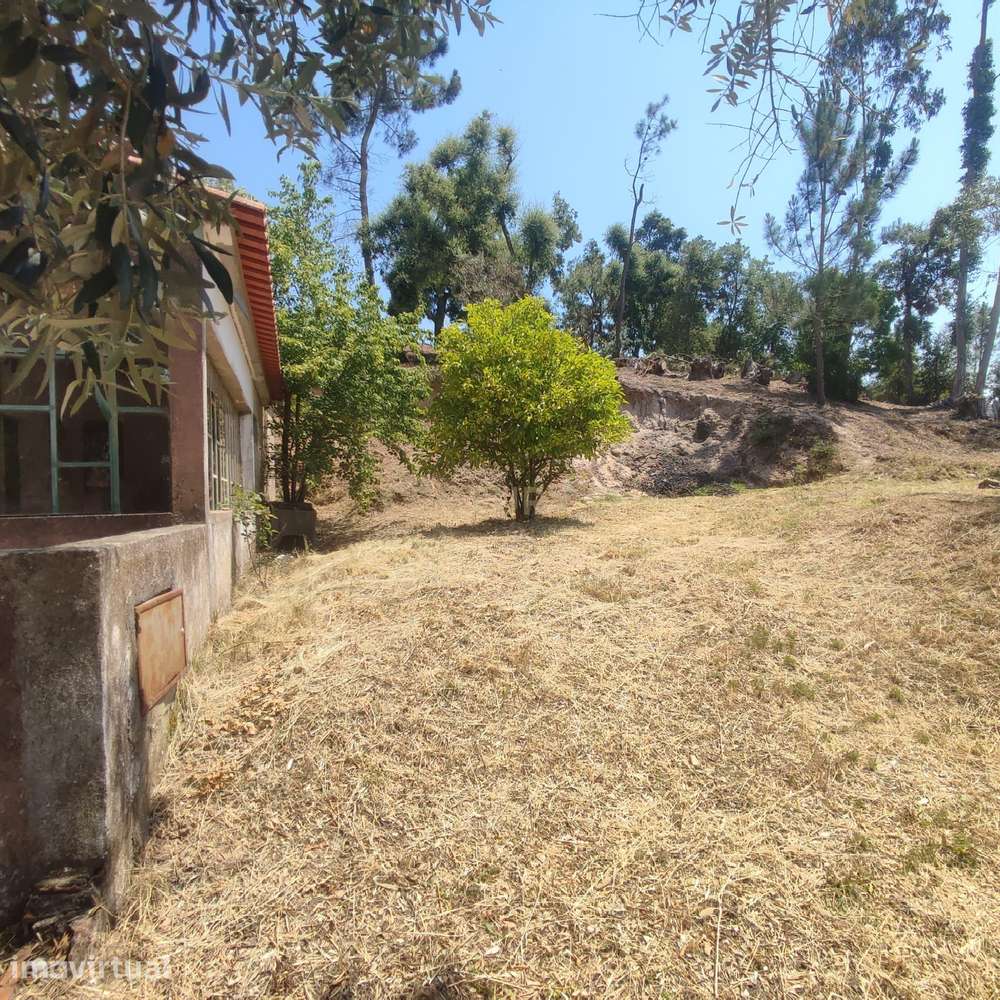 Moradia com terreno em Serra de Baixo, Sabacheira em Tomar - Grande imagem: 5/21