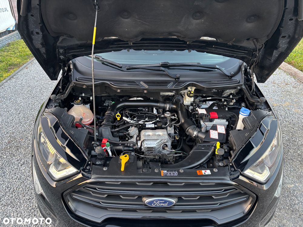 Ford EcoSport - 18