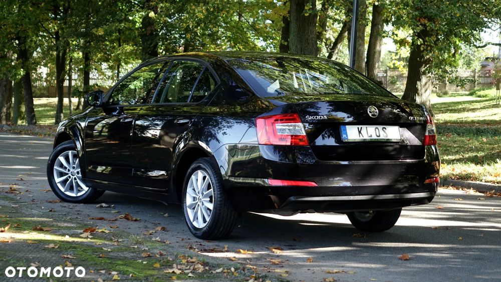 Skoda Octavia - 31