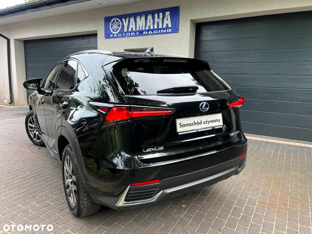 Lexus NX 300h Elegance + Business AWD - 9