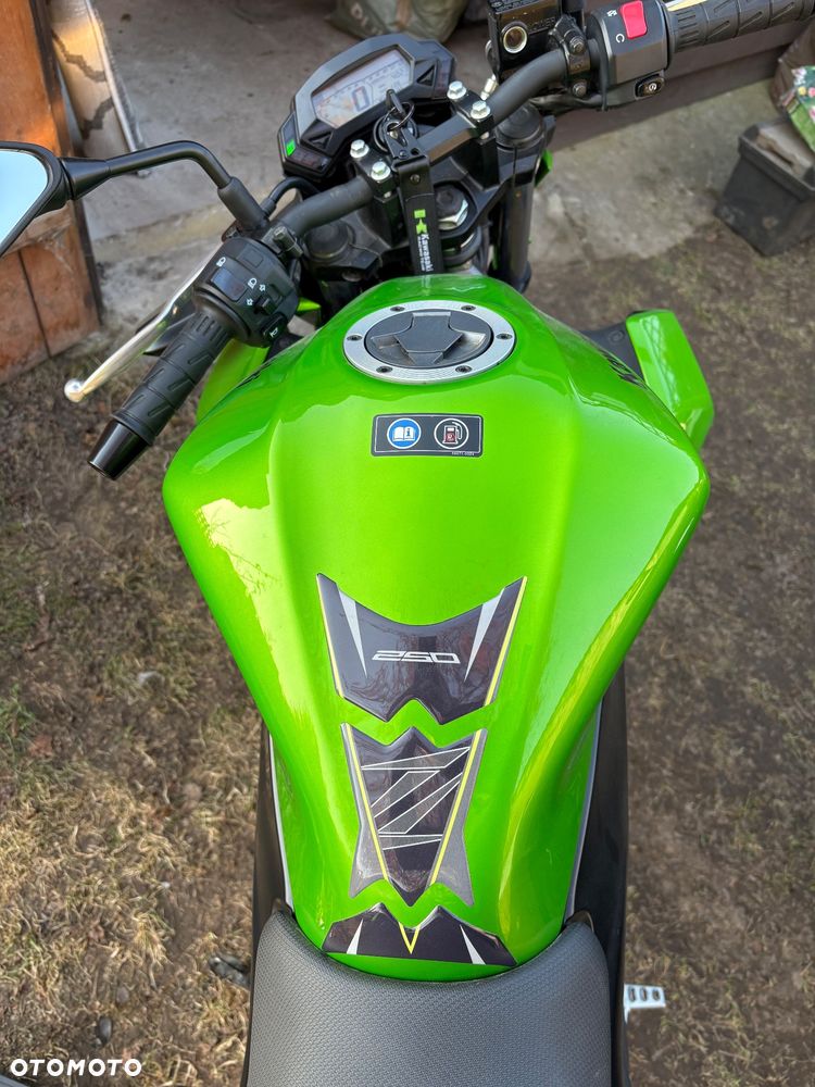 Kawasaki Z - 5