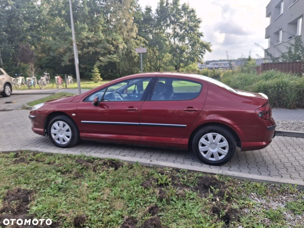 Peugeot 407 - 7