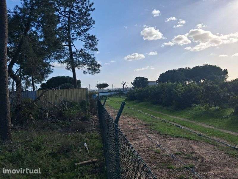 Terreno Rústico em Santa Bárbara De Nexe, com vista mar. . - Grande imagem: 3/7