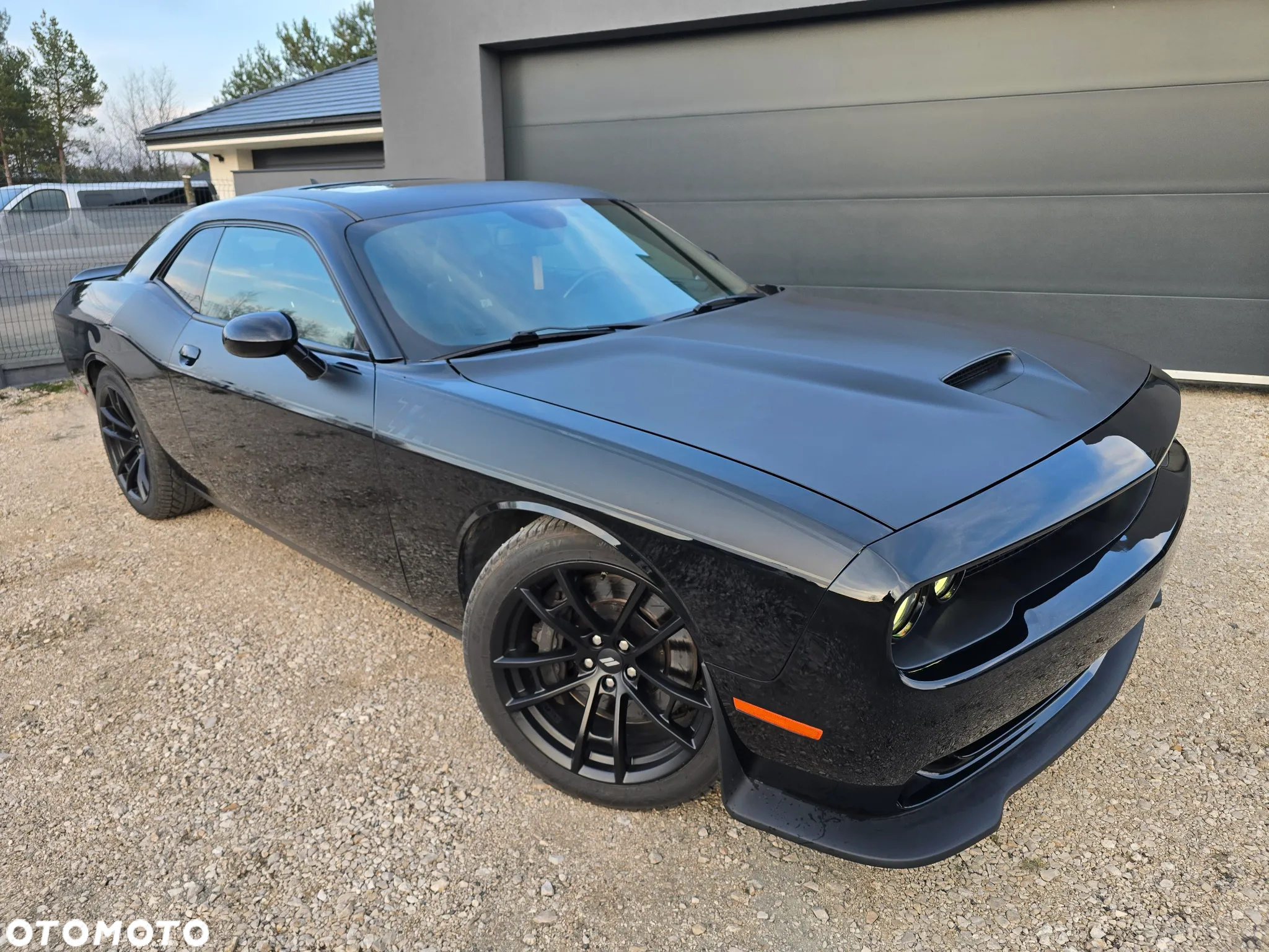 Dodge Challenger 6.4 Scat Pack T/A - 3