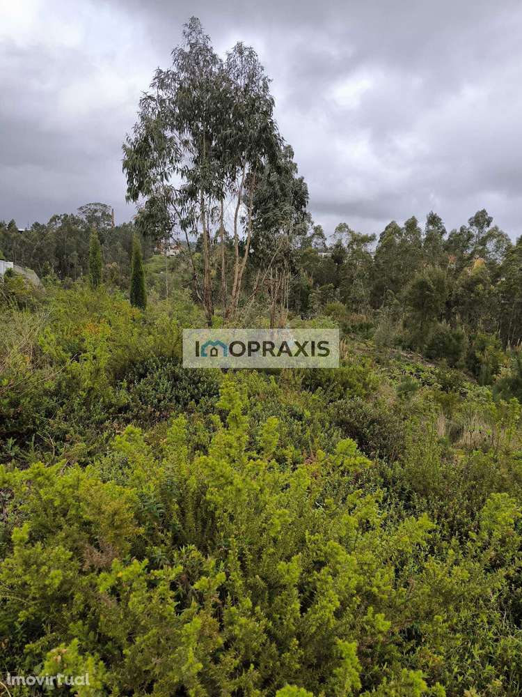 Terreno para construção em Carriço, Barracão -Leiria - Grande imagem: 3/6