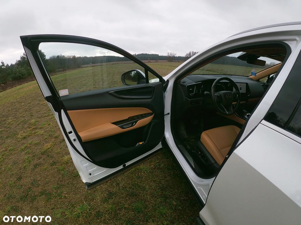 Lexus NX 350h Prestige 2WD - 6