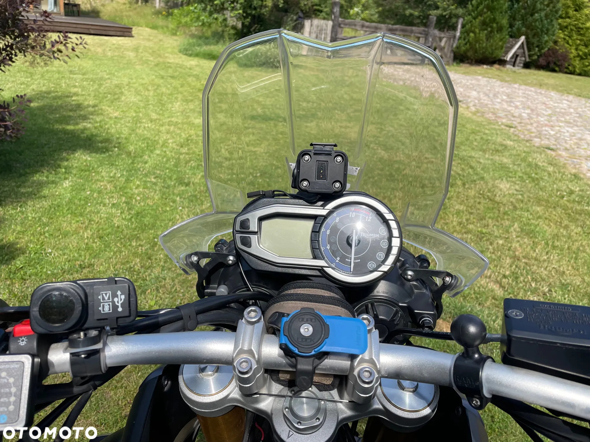 Triumph Tiger - 15