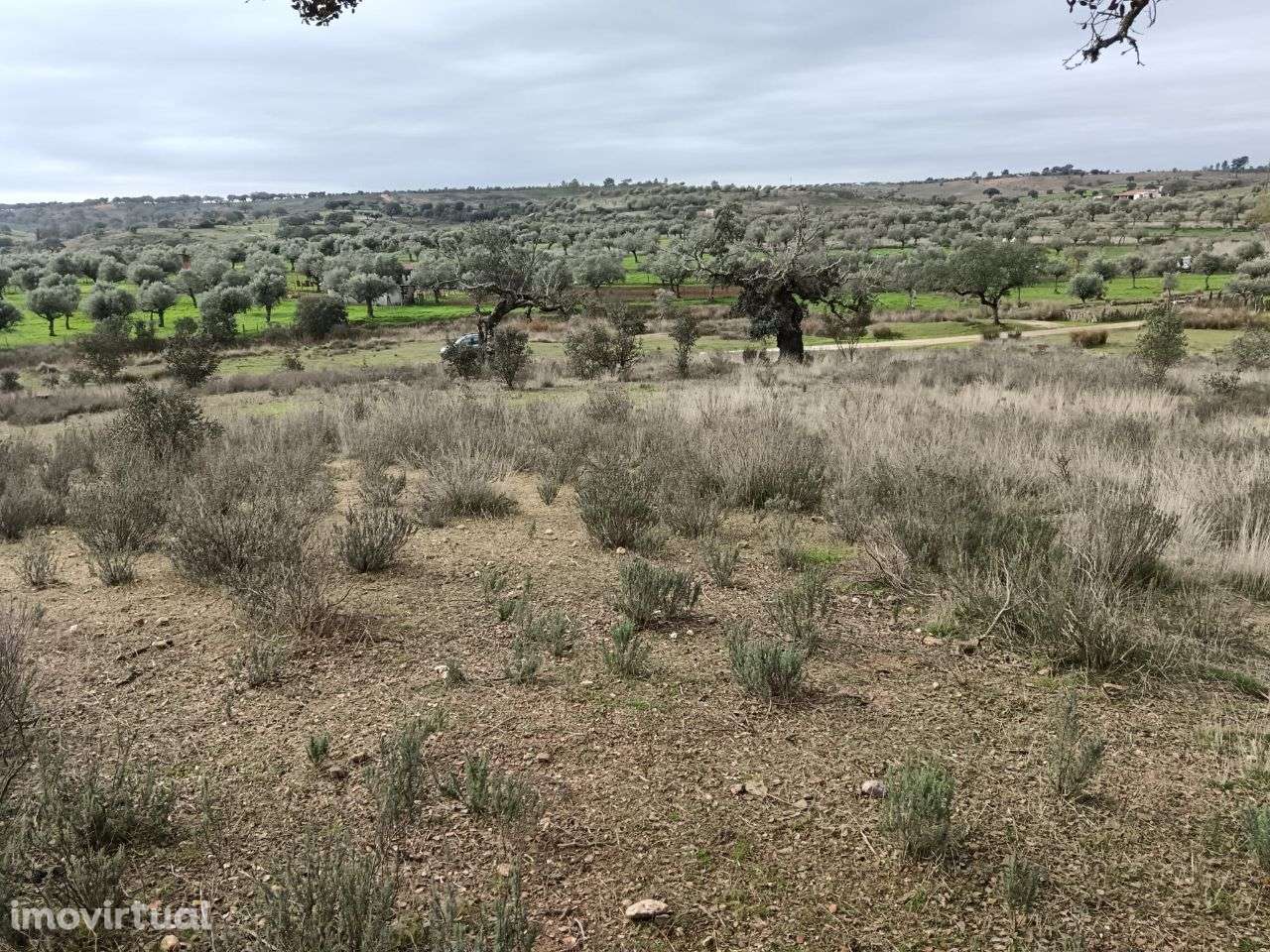 Terreno Rústico - Grande imagem: 4/7