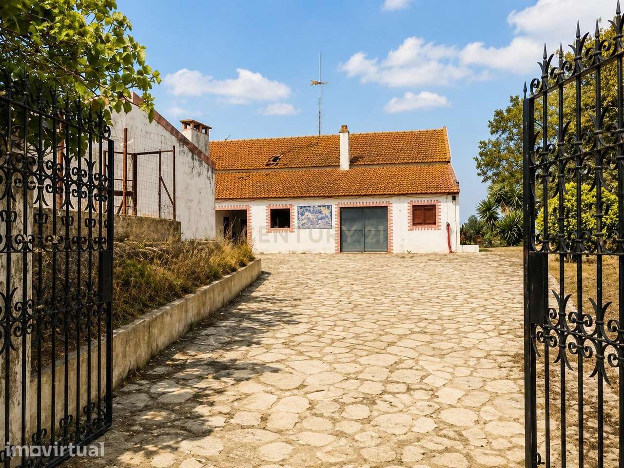 Quinta de Santa Sofia — 15,5 Hectares - Grande imagem: 4/19