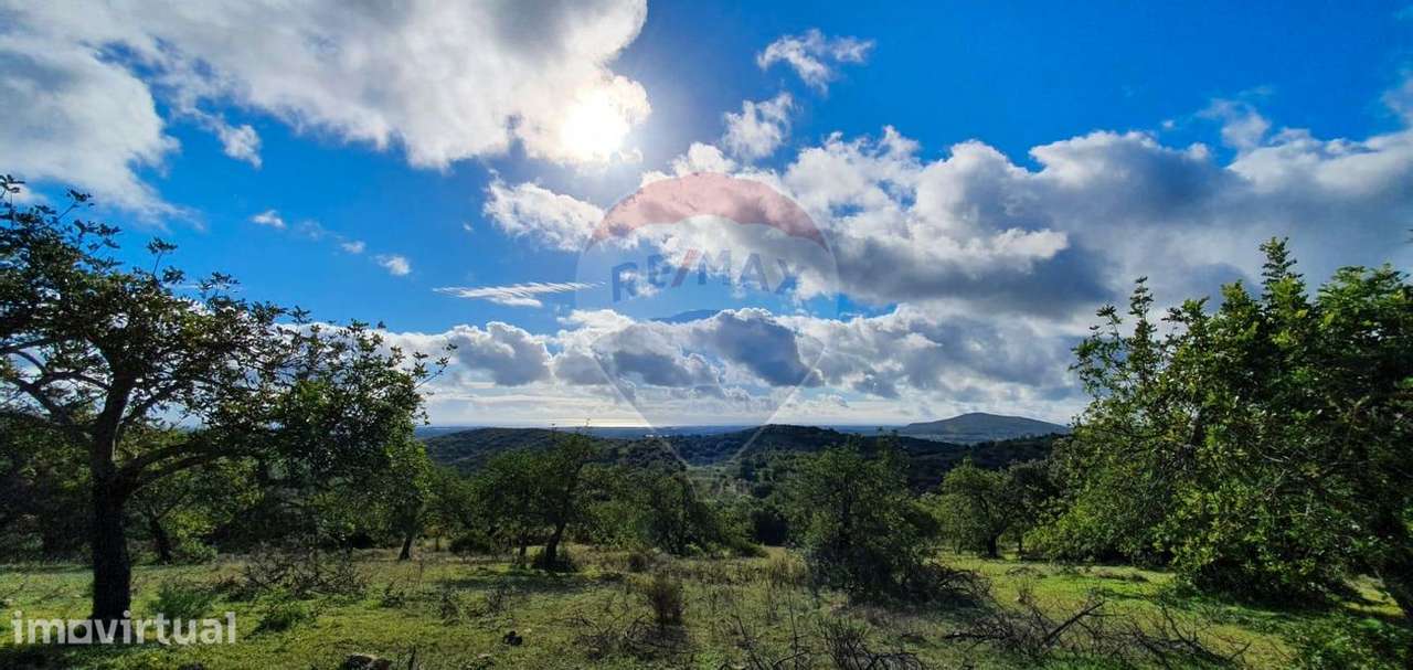 Quinta T2 para venda - Grande imagem: 4/19