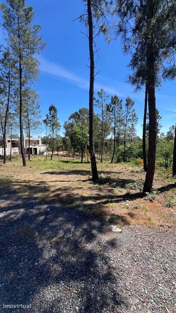 Terreno Para Construção  Venda em Mundão,Viseu - Grande imagem: 3/4