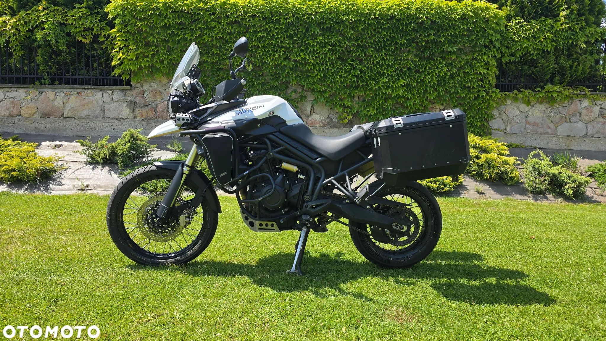 Triumph Tiger - 1