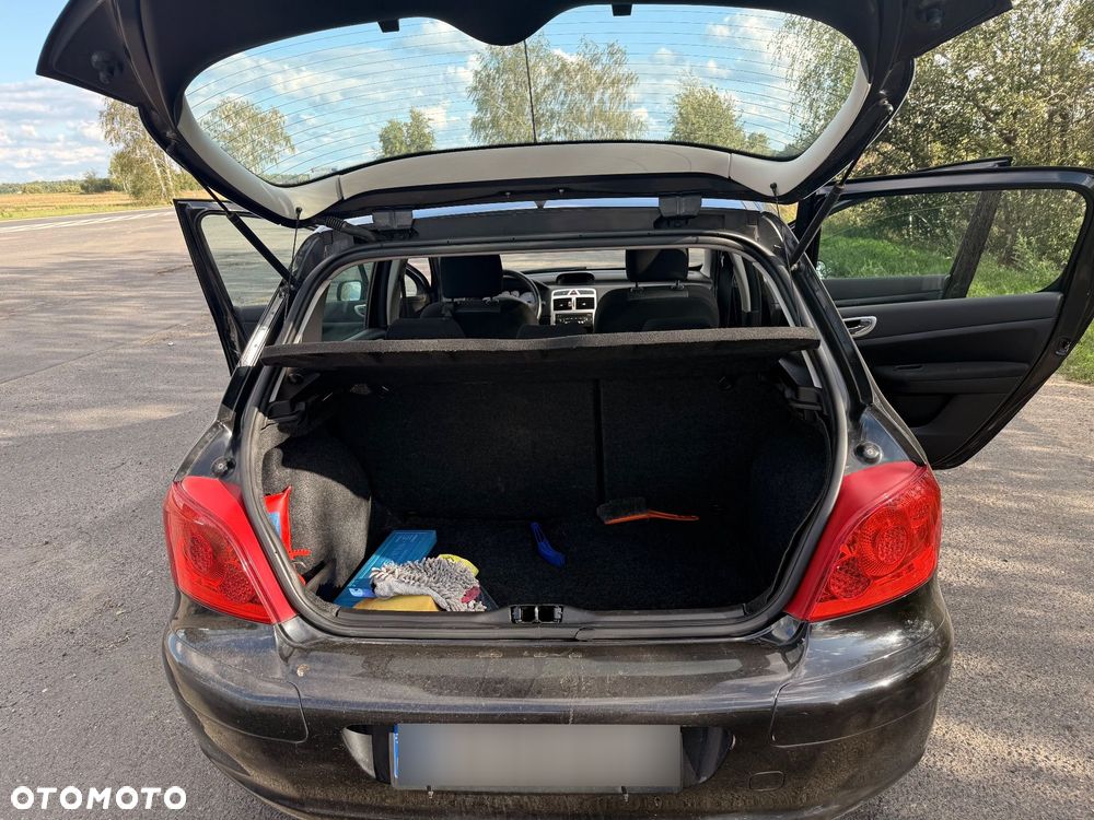 Peugeot 307 1.6 - 14