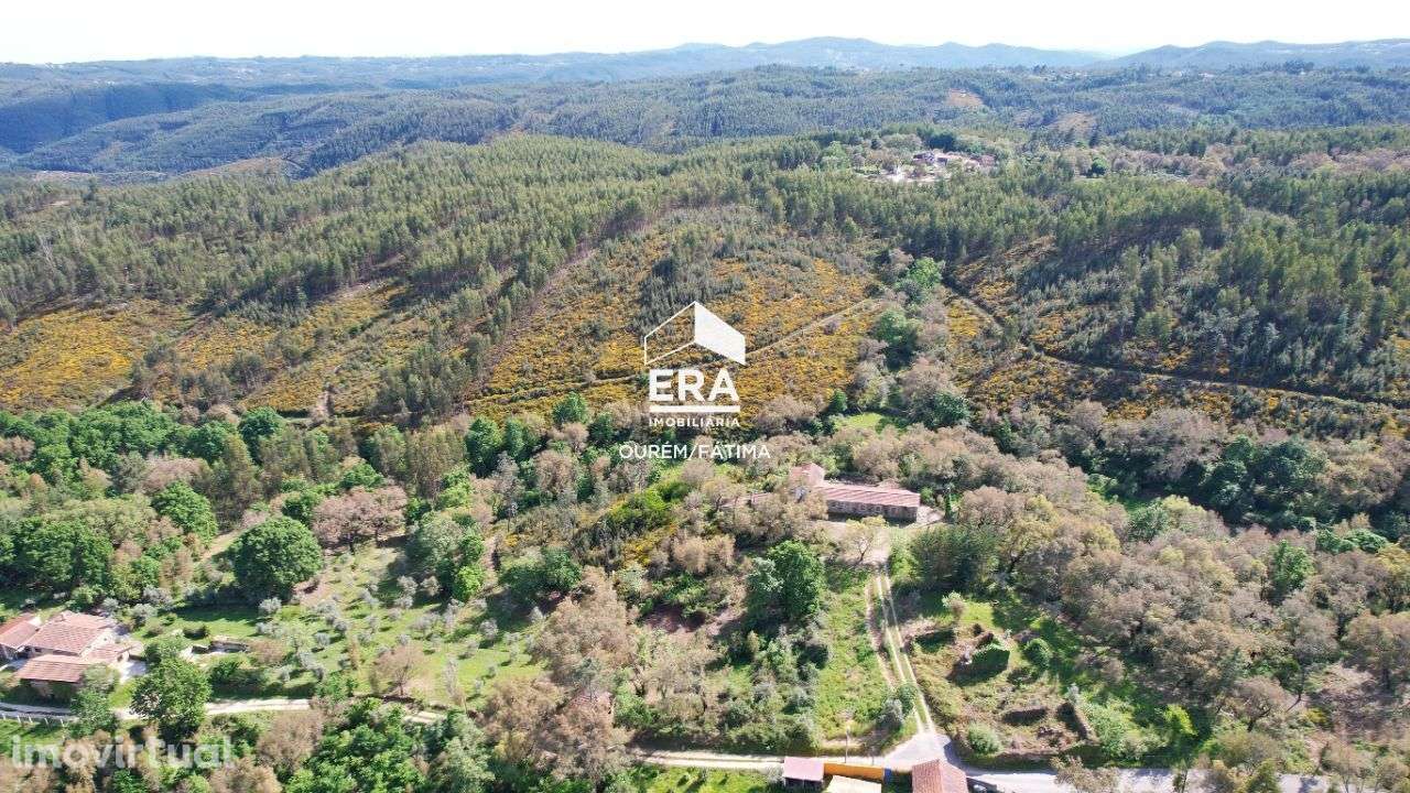 Terreno com Ruína em Pedrogão Grande - Grande imagem: 5/25